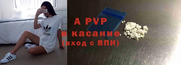 стаф Баксан