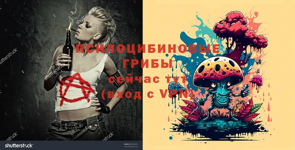 стаф Баксан