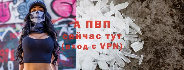 стаф Баксан