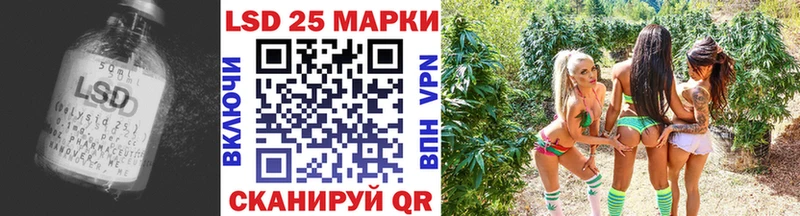 дарнет шоп  Новозыбков  Лсд 25 экстази ecstasy 